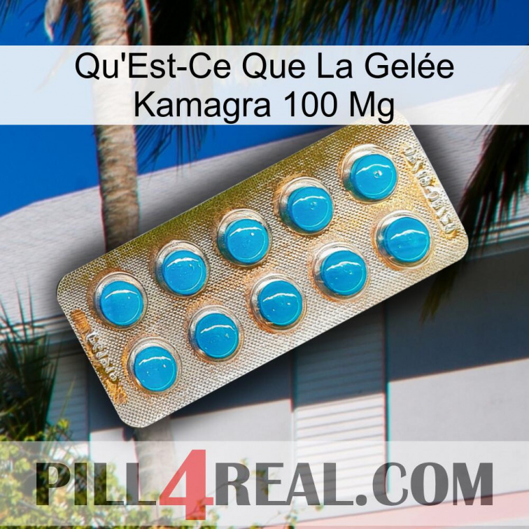 What Is Kamagra Jelly 100Mg new09
